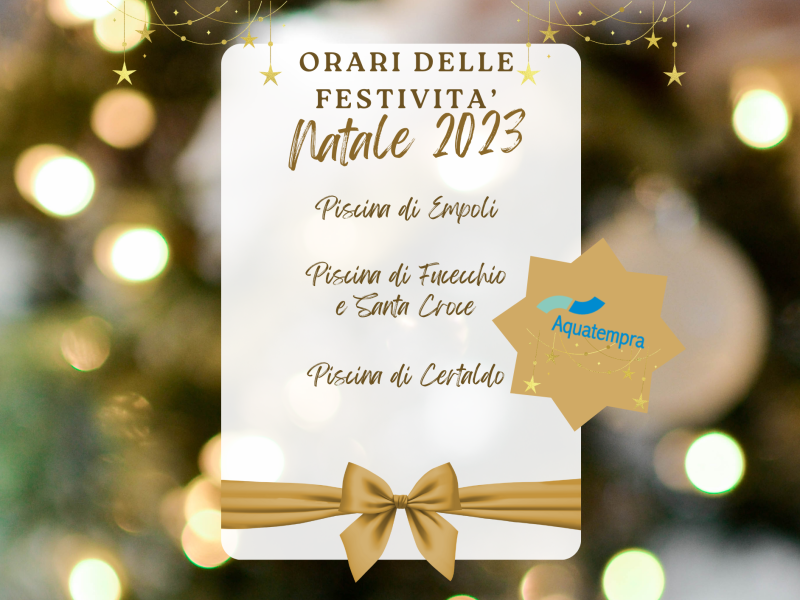 Oro-Bianco-Elegante-Natale-Capodanno-Menu-Post-Instagram-A4-Landscape